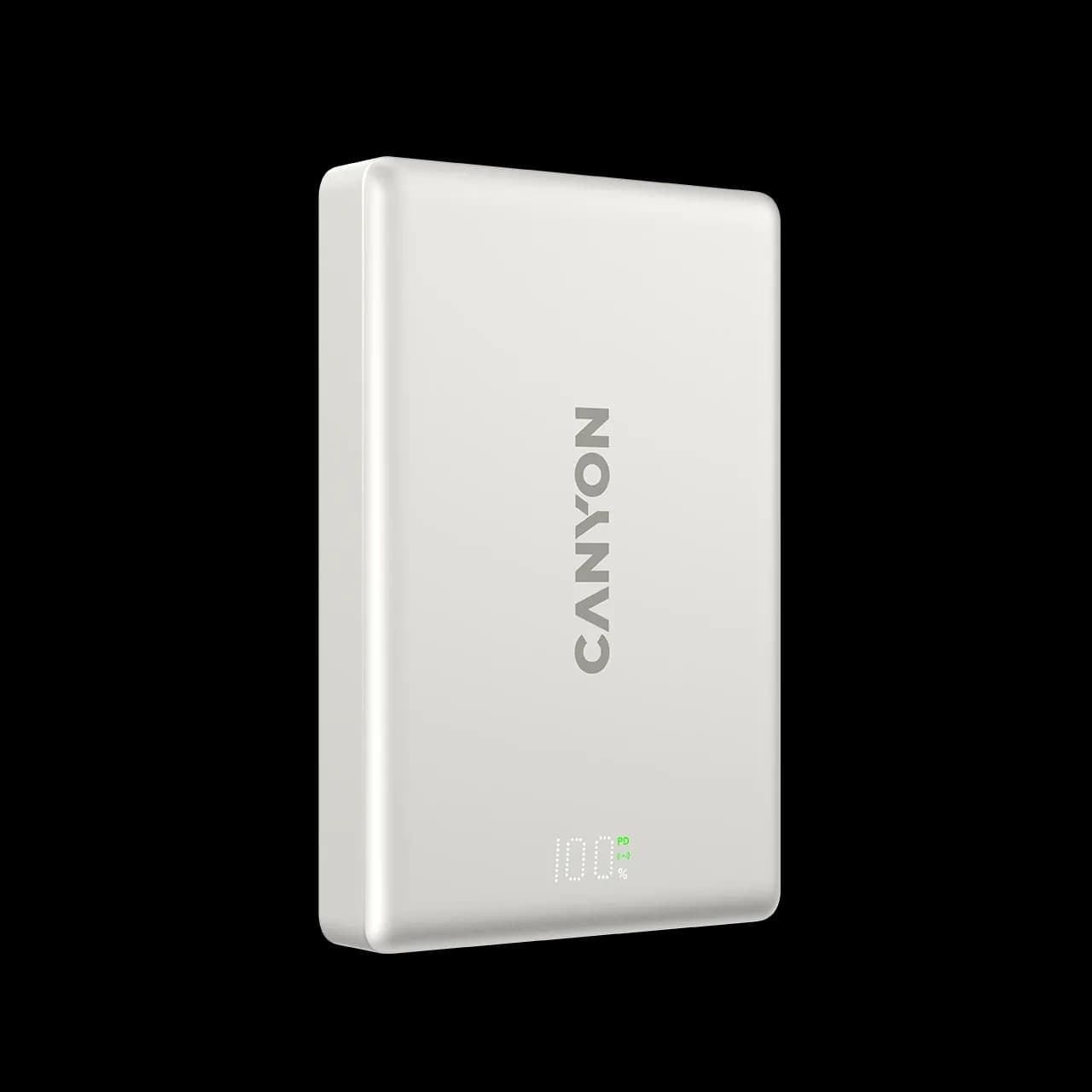 CANYON OnPower 511 Живлення - зарядний пристрій для батареї, Star Grey